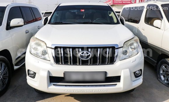 Acheter Import Voiture Toyota Prado Blanc à Import - Dubai, East Mahé Acheter Import Voiture Toyota Prado Blanc à Import - Dubai, East Mahé