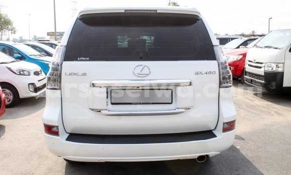 Acheter Import Voiture Lexus GX Blanc à Import - Dubai, East Mahé Acheter Import Voiture Lexus GX Blanc à Import - Dubai, East Mahé