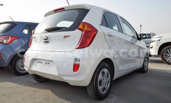 Acheter Import Voiture Kia Picanto Blanc à Import - Dubai, East Mahé Acheter Import Voiture Kia Picanto Blanc à Import - Dubai, East Mahé