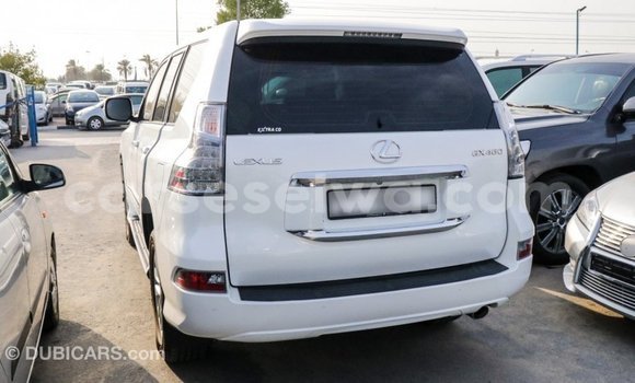 Acheter Import Voiture Lexus GX Blanc à Import - Dubai, East Mahé Acheter Import Voiture Lexus GX Blanc à Import - Dubai, East Mahé