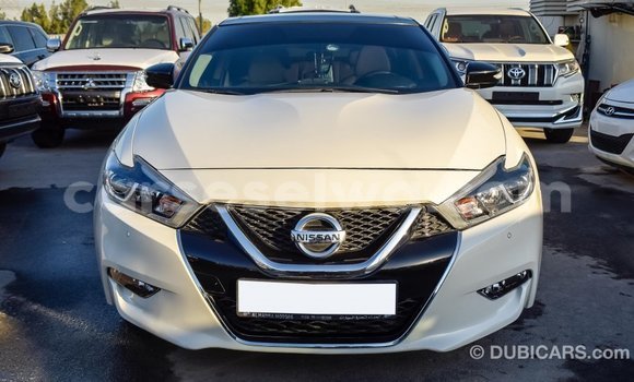 Acheter Import Voiture Nissan Maxima Blanc à Import - Dubai, East Mahé Acheter Import Voiture Nissan Maxima Blanc à Import - Dubai, East Mahé