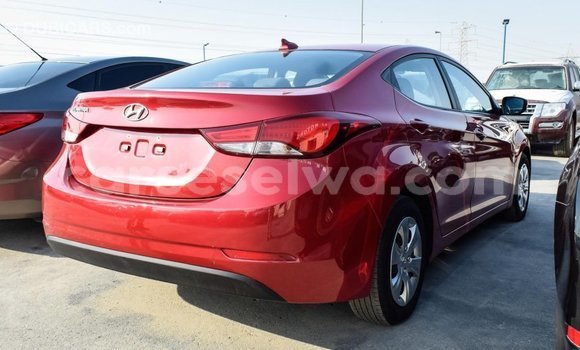 Acheter Import Voiture Hyundai Elantra Rouge à Import - Dubai, East Mahé Acheter Import Voiture Hyundai Elantra Rouge à Import - Dubai, East Mahé