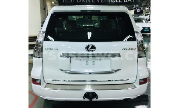 Acheter Import Voiture Lexus GX Blanc à Import - Dubai, East Mahé Acheter Import Voiture Lexus GX Blanc à Import - Dubai, East Mahé