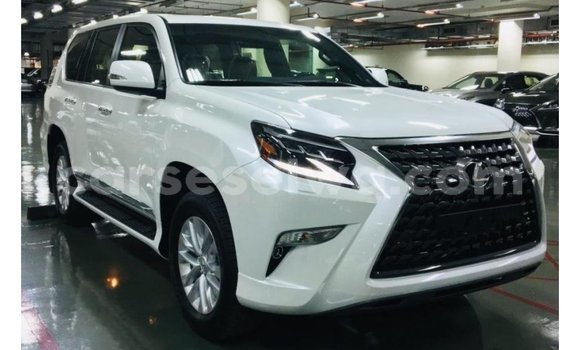 Buy Import Lexus GX White Car in Import - Dubai in East Mahé Buy Import Lexus GX White Car in Import - Dubai in East Mahé