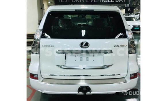 Buy Import Lexus GX White Car in Import - Dubai in East Mahé Buy Import Lexus GX White Car in Import - Dubai in East Mahé