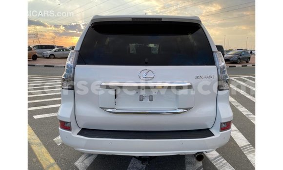 Acheter Import Voiture Lexus GX Blanc à Import - Dubai, East Mahé Acheter Import Voiture Lexus GX Blanc à Import - Dubai, East Mahé
