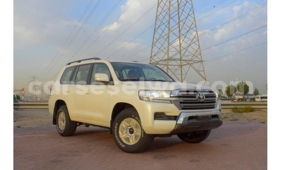 Buy Import Toyota Land Cruiser White Car in Import - Dubai in East Mahé Buy Import Toyota Land Cruiser White Car in Import - Dubai in East Mahé