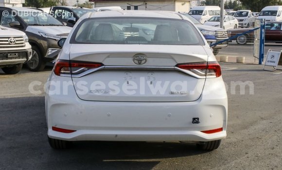 Buy Import Toyota Corolla White Car in Import - Dubai in East Mahé Buy Import Toyota Corolla White Car in Import - Dubai in East Mahé