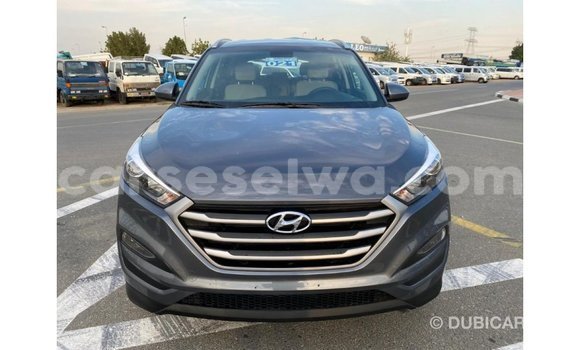 Acheter Import Voiture Hyundai Tucson Blanc à Import - Dubai, East Mahé Acheter Import Voiture Hyundai Tucson Blanc à Import - Dubai, East Mahé