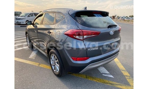Acheter Import Voiture Hyundai Tucson Blanc à Import - Dubai, East Mahé Acheter Import Voiture Hyundai Tucson Blanc à Import - Dubai, East Mahé