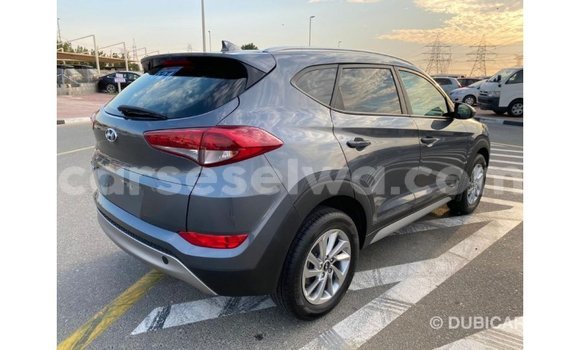Acheter Import Voiture Hyundai Tucson Blanc à Import - Dubai, East Mahé Acheter Import Voiture Hyundai Tucson Blanc à Import - Dubai, East Mahé