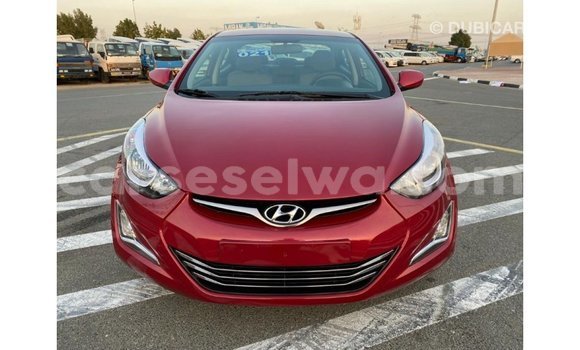 Acheter Import Voiture Hyundai Elantra Rouge à Import - Dubai, East Mahé Acheter Import Voiture Hyundai Elantra Rouge à Import - Dubai, East Mahé
