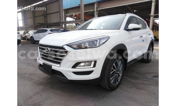 Acheter Import Voiture Hyundai Tucson Blanc à Import - Dubai, East Mahé Acheter Import Voiture Hyundai Tucson Blanc à Import - Dubai, East Mahé