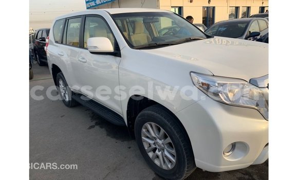 Acheter Import Voiture Toyota Prado Blanc à Import - Dubai, East Mahé Acheter Import Voiture Toyota Prado Blanc à Import - Dubai, East Mahé