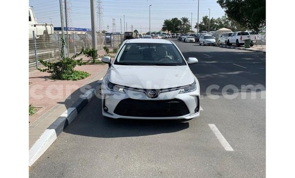 Buy Import Toyota Corolla White Car in Import - Dubai in East Mahé Buy Import Toyota Corolla White Car in Import - Dubai in East Mahé