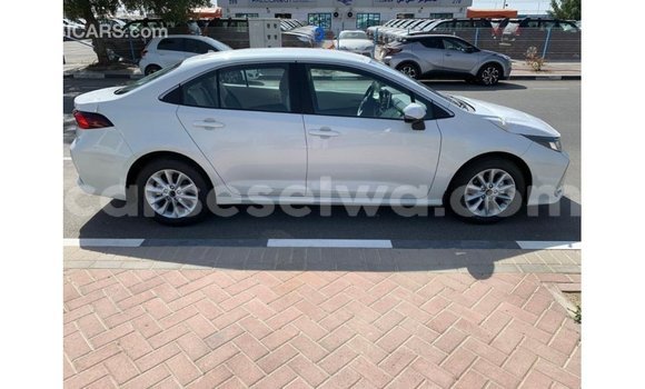 Buy Import Toyota Corolla White Car in Import - Dubai in East Mahé Buy Import Toyota Corolla White Car in Import - Dubai in East Mahé