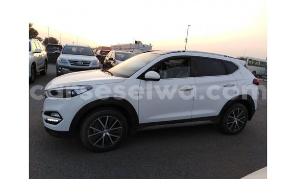Acheter Import Voiture Hyundai Tucson Blanc à Import - Dubai, East Mahé Acheter Import Voiture Hyundai Tucson Blanc à Import - Dubai, East Mahé