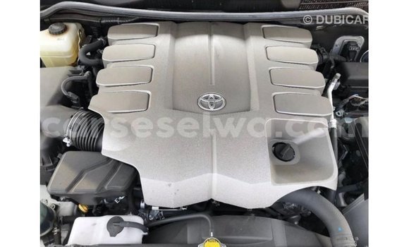 Buy Import Toyota Land Cruiser White Car in Import - Dubai in East Mahé Buy Import Toyota Land Cruiser White Car in Import - Dubai in East Mahé