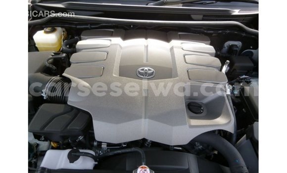 Buy Import Toyota Land Cruiser White Car in Import - Dubai in East Mahé Buy Import Toyota Land Cruiser White Car in Import - Dubai in East Mahé
