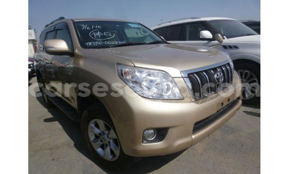 Buy Import Toyota Prado Other Car in Import - Dubai in East Mahé Buy Import Toyota Prado Other Car in Import - Dubai in East Mahé