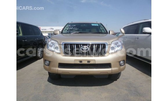 Buy Import Toyota Prado Other Car in Import - Dubai in East Mahé Buy Import Toyota Prado Other Car in Import - Dubai in East Mahé