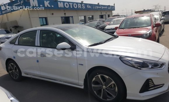 Acheter Import Voiture Hyundai Sonata Blanc à Import - Dubai, East Mahé Acheter Import Voiture Hyundai Sonata Blanc à Import - Dubai, East Mahé