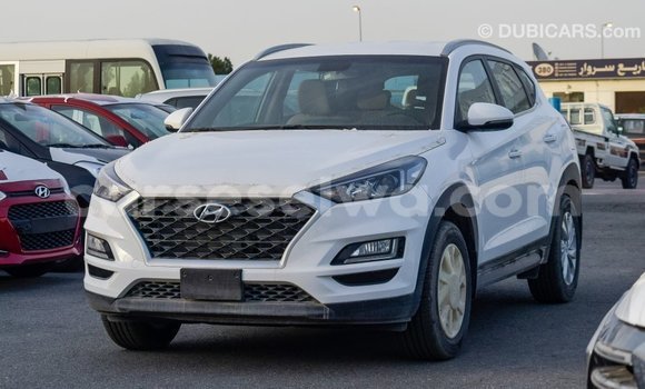 Acheter Import Voiture Hyundai Tucson Blanc à Import - Dubai, East Mahé Acheter Import Voiture Hyundai Tucson Blanc à Import - Dubai, East Mahé