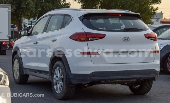 Acheter Import Voiture Hyundai Tucson Blanc à Import - Dubai, East Mahé Acheter Import Voiture Hyundai Tucson Blanc à Import - Dubai, East Mahé