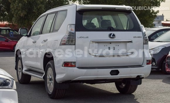 Acheter Import Voiture Lexus GX Blanc à Import - Dubai, East Mahé Acheter Import Voiture Lexus GX Blanc à Import - Dubai, East Mahé