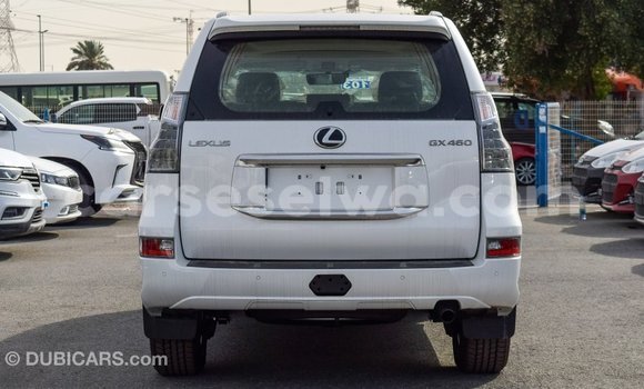 Acheter Import Voiture Lexus GX Blanc à Import - Dubai, East Mahé Acheter Import Voiture Lexus GX Blanc à Import - Dubai, East Mahé