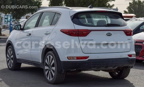 Buy Import Kia Sportage White Car in Import - Dubai in East Mahé Buy Import Kia Sportage White Car in Import - Dubai in East Mahé