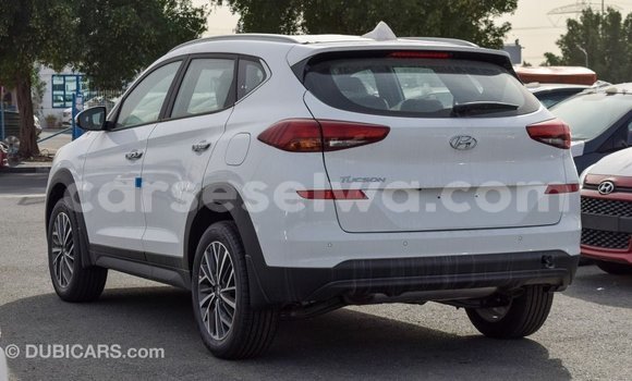 Acheter Import Voiture Hyundai Tucson Blanc à Import - Dubai, East Mahé Acheter Import Voiture Hyundai Tucson Blanc à Import - Dubai, East Mahé