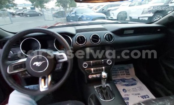 Acheter Import Voiture Ford Mustang Rouge à Import - Dubai, East Mahé Acheter Import Voiture Ford Mustang Rouge à Import - Dubai, East Mahé