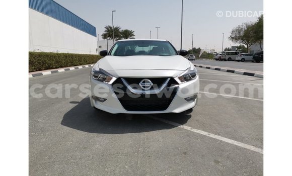 Acheter Import Voiture Nissan Maxima Blanc à Import - Dubai, East Mahé Acheter Import Voiture Nissan Maxima Blanc à Import - Dubai, East Mahé
