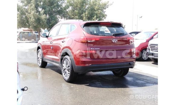 Acheter Import Voiture Hyundai Tucson Rouge à Import - Dubai, East Mahé Acheter Import Voiture Hyundai Tucson Rouge à Import - Dubai, East Mahé
