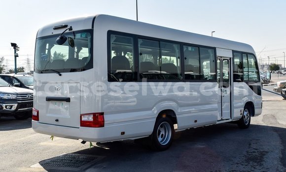 Acheter Import Voiture Toyota Coaster Blanc à Import - Dubai, East Mahé Acheter Import Voiture Toyota Coaster Blanc à Import - Dubai, East Mahé