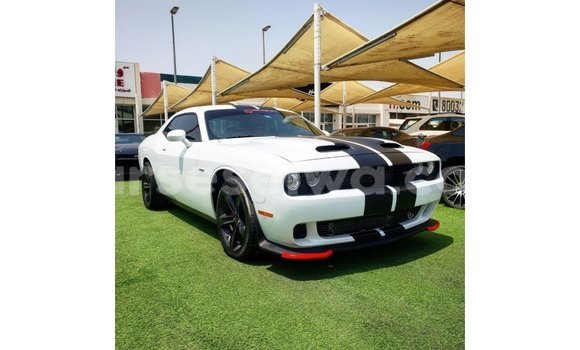 Buy Import Dodge Challenger White Car in Import - Dubai in East Mahé
