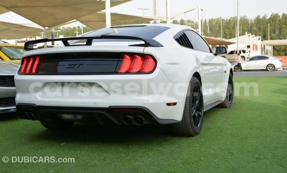 Acheter Import Voiture Ford Mustang Blanc à Import - Dubai, East Mahé Acheter Import Voiture Ford Mustang Blanc à Import - Dubai, East Mahé