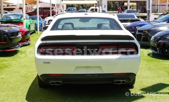 Buy Import Dodge Challenger White Car in Import - Dubai in East Mahé Buy Import Dodge Challenger White Car in Import - Dubai in East Mahé