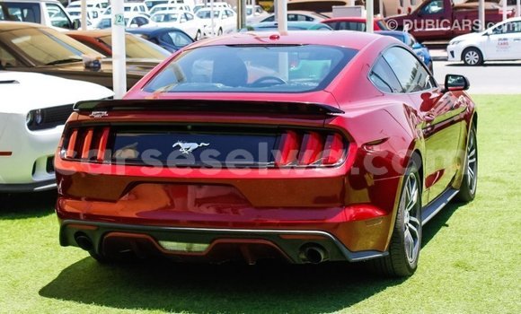 Buy Import Ford Mustang Red Car in Import - Dubai in East Mahé Buy Import Ford Mustang Red Car in Import - Dubai in East Mahé