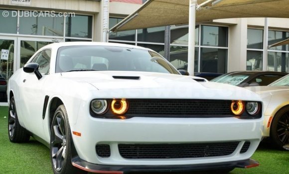 Buy Import Dodge Challenger White Car in Import - Dubai in East Mahé Buy Import Dodge Challenger White Car in Import - Dubai in East Mahé