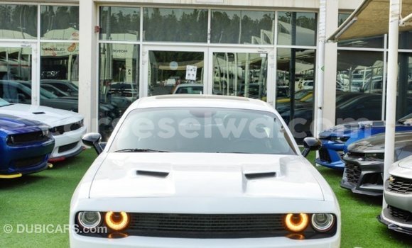 Buy Import Dodge Challenger White Car in Import - Dubai in East Mahé Buy Import Dodge Challenger White Car in Import - Dubai in East Mahé