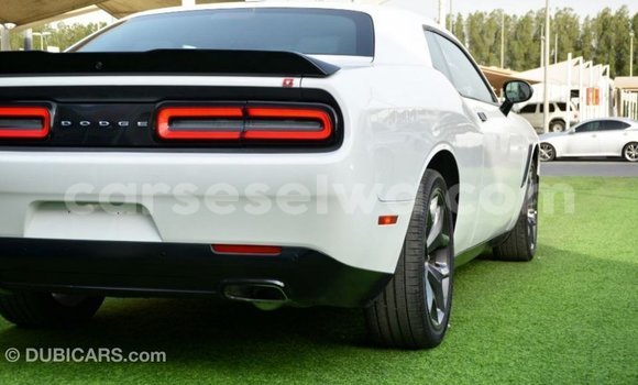 Buy Import Dodge Challenger White Car in Import - Dubai in East Mahé Buy Import Dodge Challenger White Car in Import - Dubai in East Mahé
