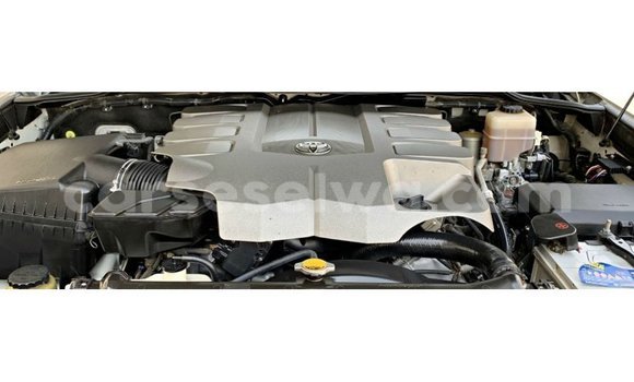 Buy Import Toyota Land Cruiser White Car in Import - Dubai in East Mahé Buy Import Toyota Land Cruiser White Car in Import - Dubai in East Mahé