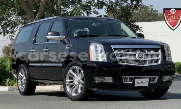 Acheter Import Voiture Cadillac Escalade Noir à Import - Dubai, East Mahé