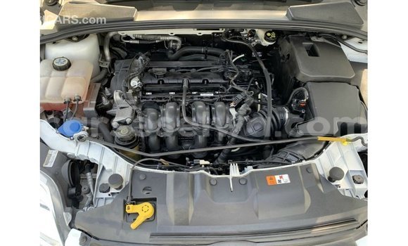 Buy Import Ford Focus White Car in Import - Dubai in East Mahé Buy Import Ford Focus White Car in Import - Dubai in East Mahé