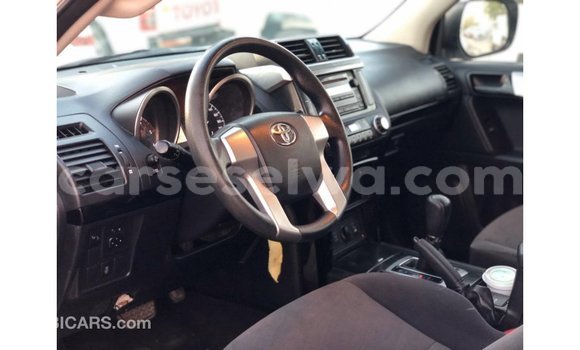 Buy Import Toyota Prado White Car in Import - Dubai in East Mahé Buy Import Toyota Prado White Car in Import - Dubai in East Mahé