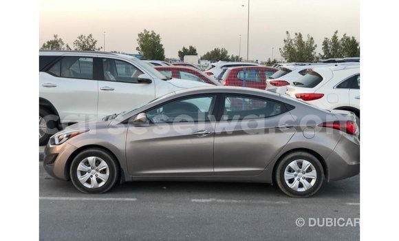Buy Import Hyundai Elantra Brown Car in Import - Dubai in East Mahé Buy Import Hyundai Elantra Brown Car in Import - Dubai in East Mahé
