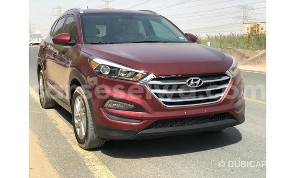 Buy Import Hyundai Tucson Red Car in Import - Dubai in East Mahé Buy Import Hyundai Tucson Red Car in Import - Dubai in East Mahé