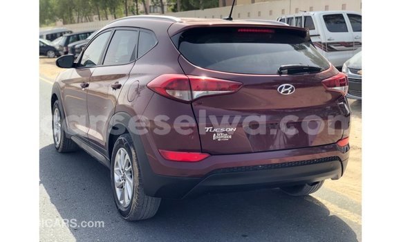 Buy Import Hyundai Tucson Red Car in Import - Dubai in East Mahé Buy Import Hyundai Tucson Red Car in Import - Dubai in East Mahé